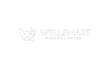 Wellsmart Energy Logo